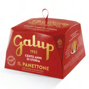 Panettone classique aux fruits confits 750g Galup